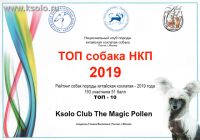 Ksolo Club The Magic Pollen - originally Moonswift