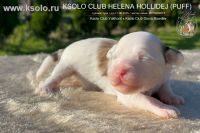 Ksolo Club Helena Hollidej 