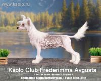 Ksolo Club Fantaziya 